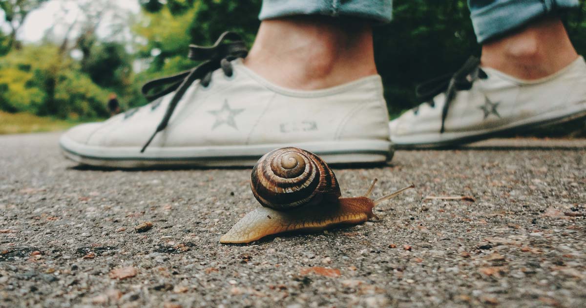 snail-near-feet. 